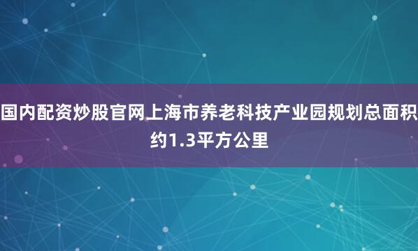 国内配资炒股官网上海市养老科技产业园规划总面积约1.3平方公里